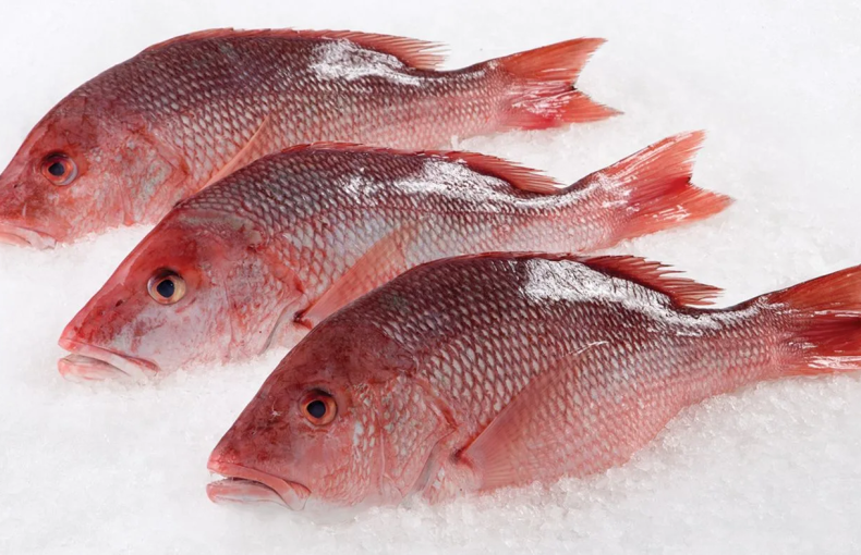 Simple & Delicious: Baked Fish Recipe from Dannykam Butchery {Easy to Follow!}