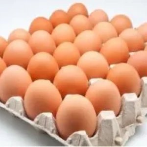 Eggs / Tray
