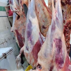 Fresh & Healthy Meat