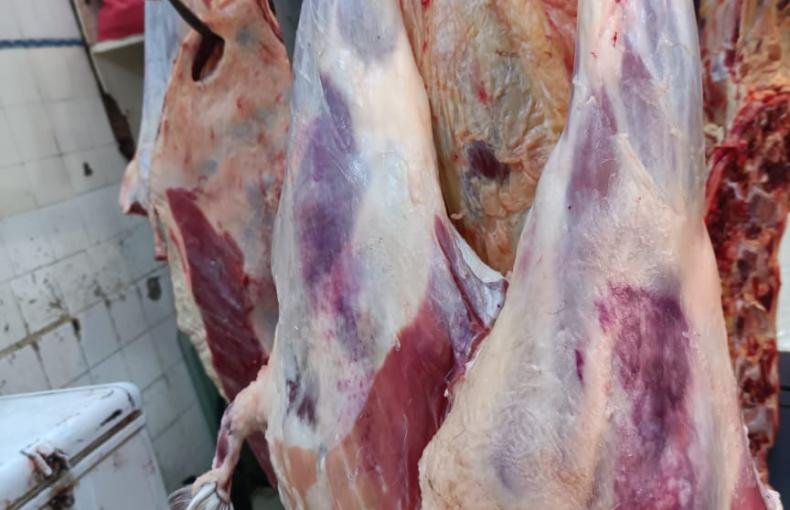 Fresh & Healthy Meat